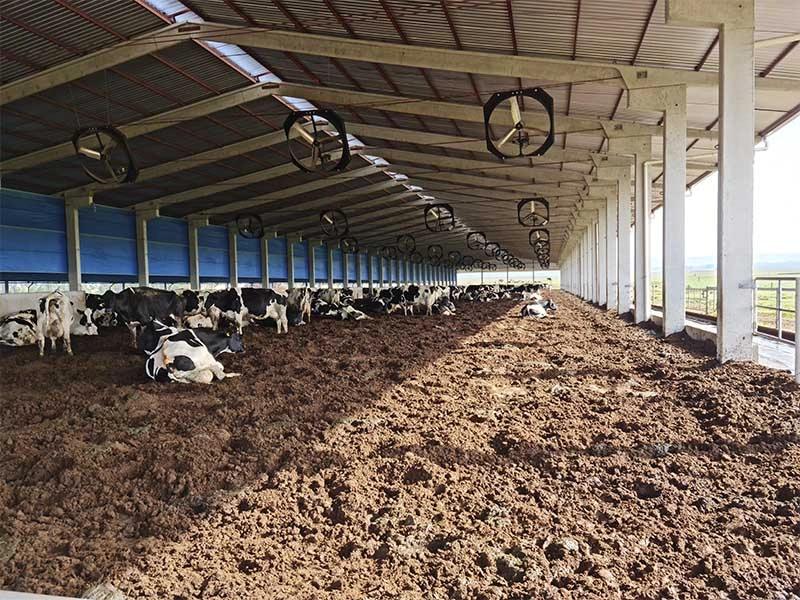AS Projetos e Pré Moldados